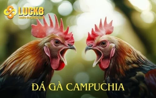 da-ga-campuchia