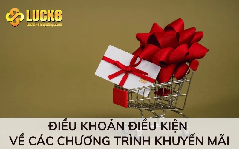 Điều khoản điều kiện về các chương trình khuyến mãi