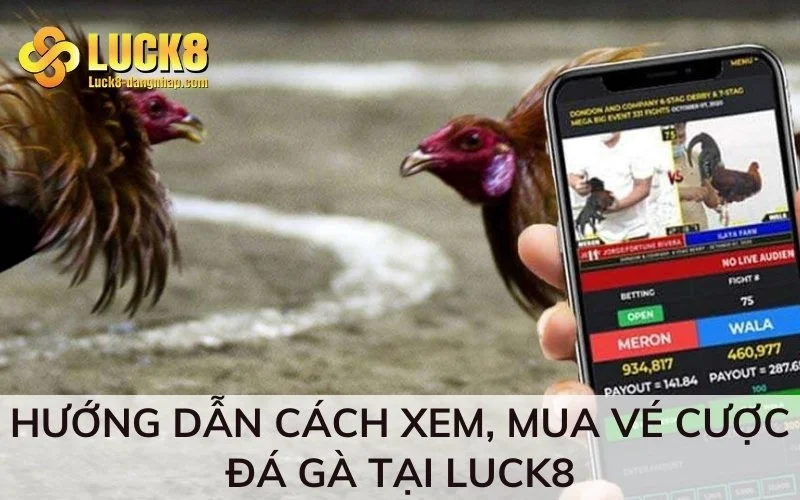 Hướng dẫn cách xem, mua vé cược đá gà tại Luck8